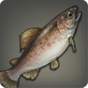 Cherry Trout - Fish - Items