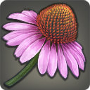 Coneflower - Reagents - Items