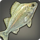 Crystalfin - Fish - Items