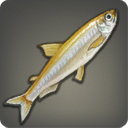 Dravanian Smelt - Fish - Items