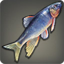 Gnomefish - Fish - Items