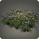 Oriental Grass Plot - New Items in Patch 3.1 - Items