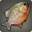 Pipira Pira - Fish - Items