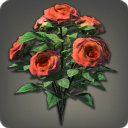 Red Oldroses - Miscellany - Items