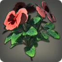 Red Violas - Miscellany - Items