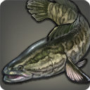Retribution Staff - Fish - Items