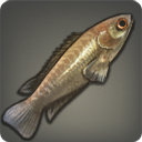 Rockclimber - Fish - Items