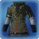 Shire Pankratiast's Jacket - New Items in Patch 3.4 - Items