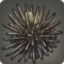 Spring Urchin - Fish - Items