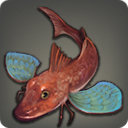 Winged Gurnard - Fish - Items