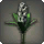 Black Hyacinths - Miscellany - Items