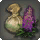 Lupin Seeds - Gardening - Items