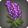 Purple Lupin Corsage - Helms, Hats and Masks Level 1-50 - Items