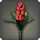 Red Hyacinths - Miscellany - Items
