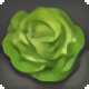 Robe Lettuce - New Items in Patch 5.05 - Items
