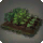 Vegetable Garden - New Items in Patch 5.18 - Items
