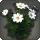 White Cosmos - New Items in Patch 5.3 - Items