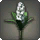 White Hyacinths - Miscellany - Items