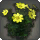 Yellow Cosmos - New Items in Patch 5.3 - Items