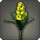 Yellow Hyacinths - New Items in Patch 5.2 - Items