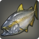 Amberjack - Fish - Items