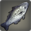 Bighead Carp - Fish - Items