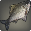Black Velodyna Carp - Fish - Items