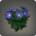 Blue Daisies - Miscellany - Items