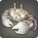 Carpenter Crab - Fish - Items