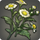 Chickweed - Reagents - Items