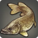 Eastern Pike - Fish - Items