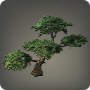 Eastern Pine - Furnishings - Items