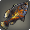 Flamefish - Fish - Items