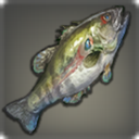 Glaring Perch - Fish - Items