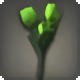 Green Tulips - New Items in Patch 4.2 - Items
