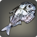 Hatchetfish - Fish - Items