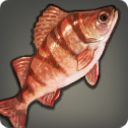 Highland Perch - Fish - Items