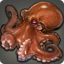 Koromo Octopus - Fish - Items