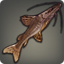 Longhair Catfish - Fish - Items