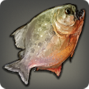Miounnefish - Fish - Items