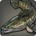 Raitonfish - Fish - Items