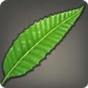 Ratanhia Leaves - New Items in Patch 4.01 - Items