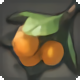 Ripe Steppe Fruit - New Items in Patch 4.3 - Items