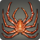 Spider Crab - Fish - Items
