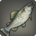 Steelhead Trout - Fish - Items