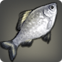 Steelshark - Fish - Items