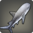 Tawny Wench Shark - Fish - Items
