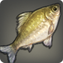Temple Carp - Fish - Items