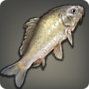 Velodyna Grass Carp - Fish - Items