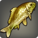Yellow Prismfish - Fish - Items